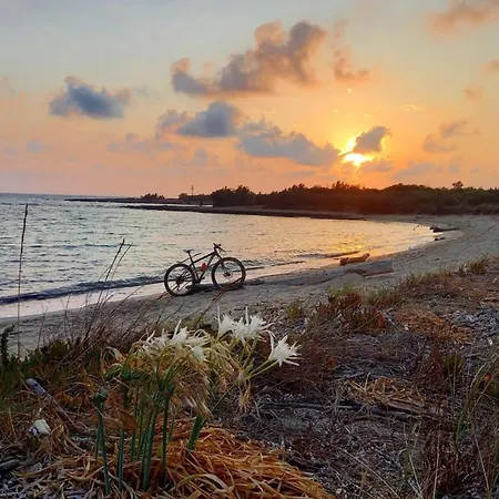 Leonardo, Non Solo Mare Нардо