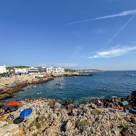 Leonardo, Non Solo Mare